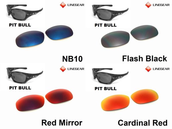 Photo3: Pit Bull Polarized Lenses